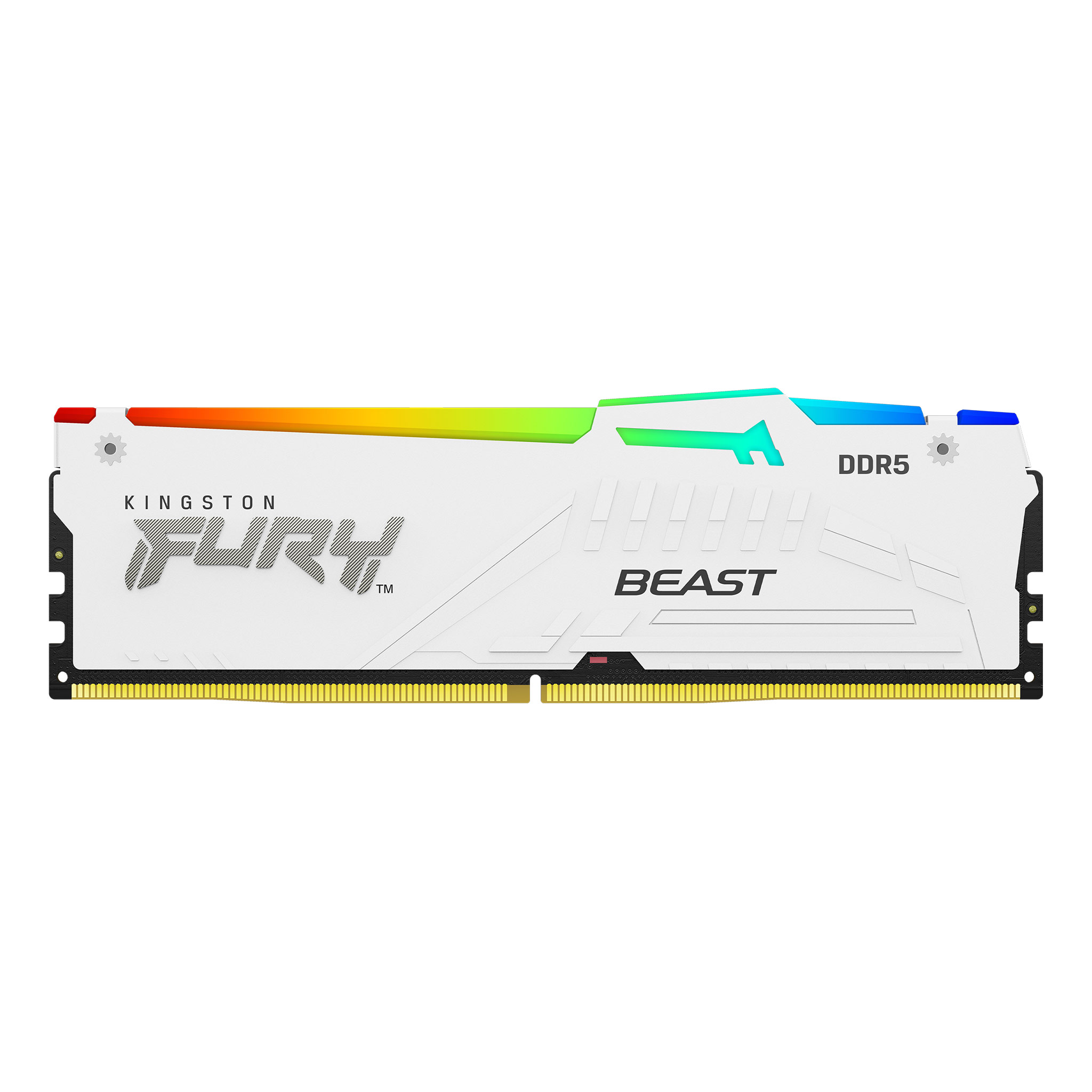 FURY BEAST RGB XMP 64G(32G*2) 6000 DDR5 CL40 WHITE