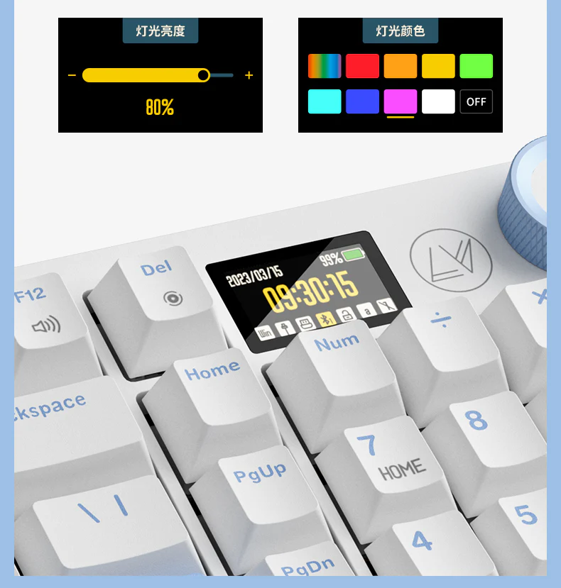 RS2 3.0 SKY BLUE WHITE WING SWITCH