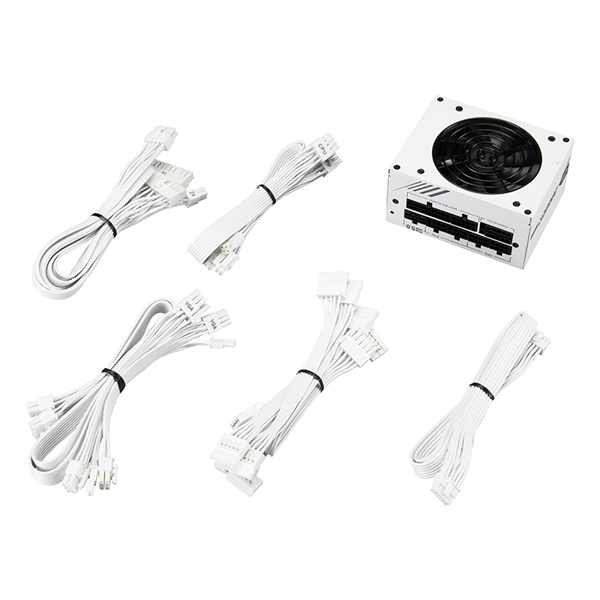 FSP DAGGER PRO 850W GOLD 3.0 GEN5 FULL MODULAR WHITE thumbnail 2