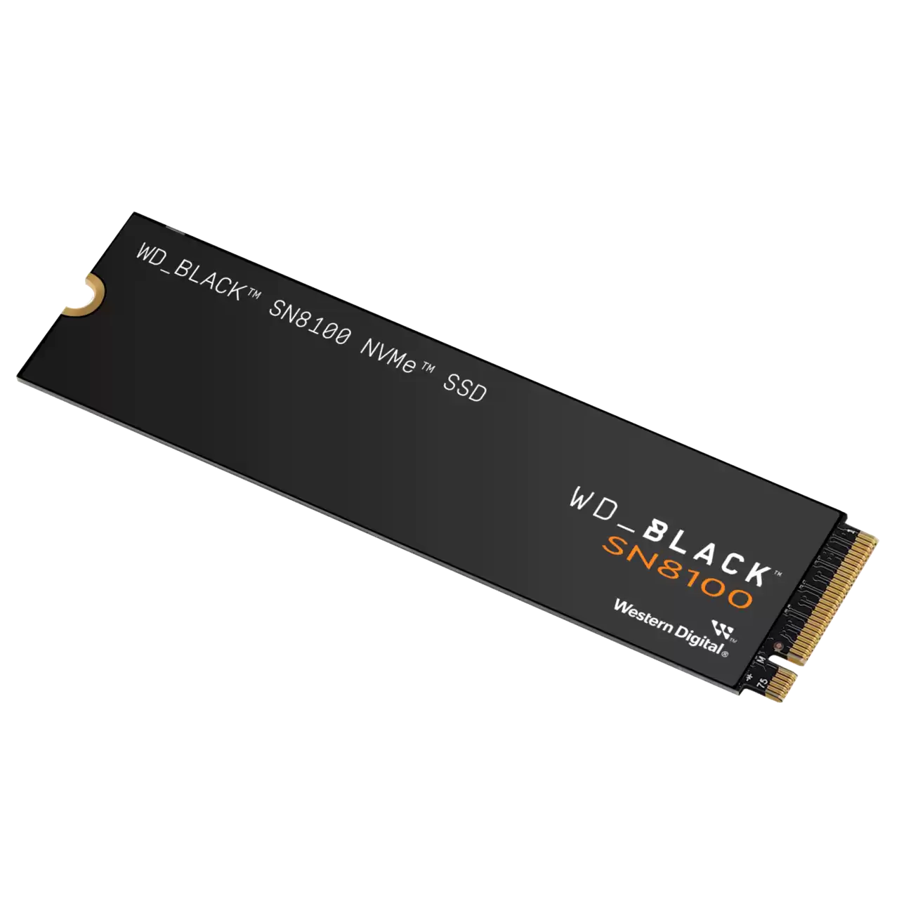 BLACK SN8100 4TB GEN5 NVME SSD